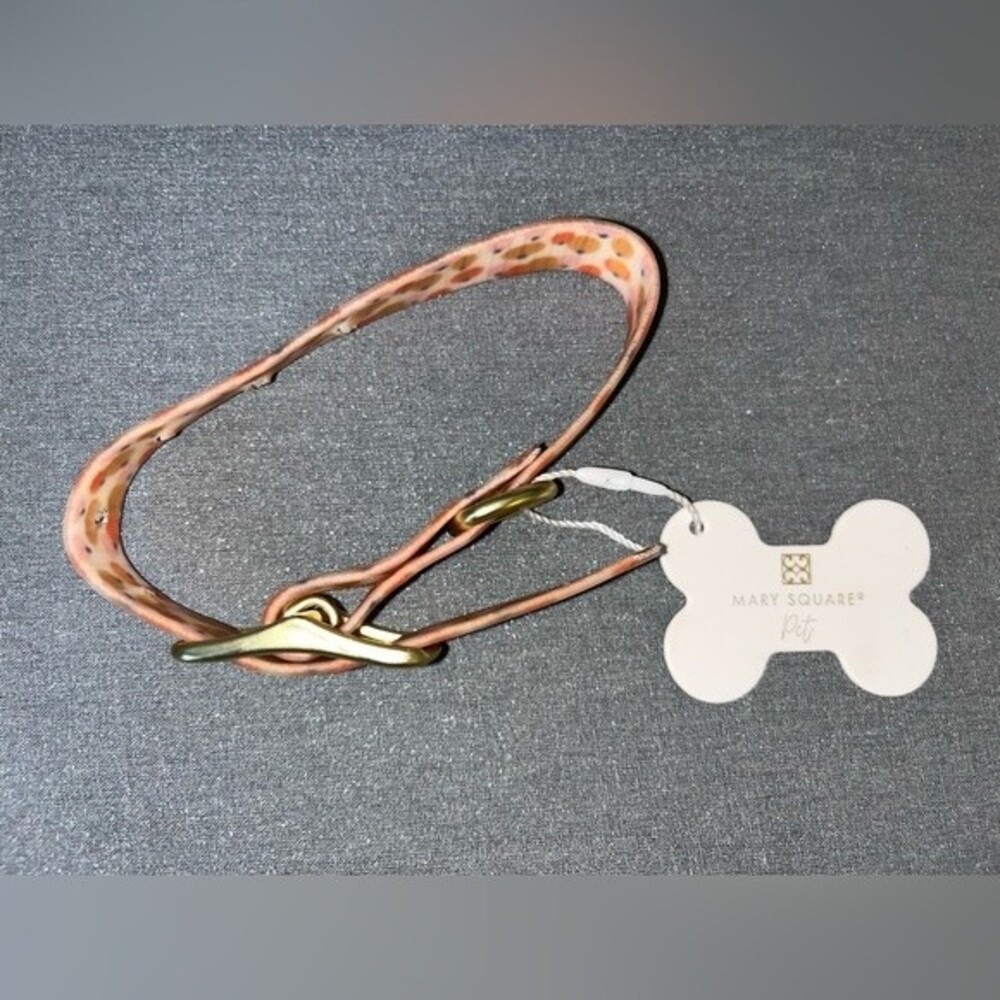 Mary Square | Hey There Pumpkin Silicone Dog Collar